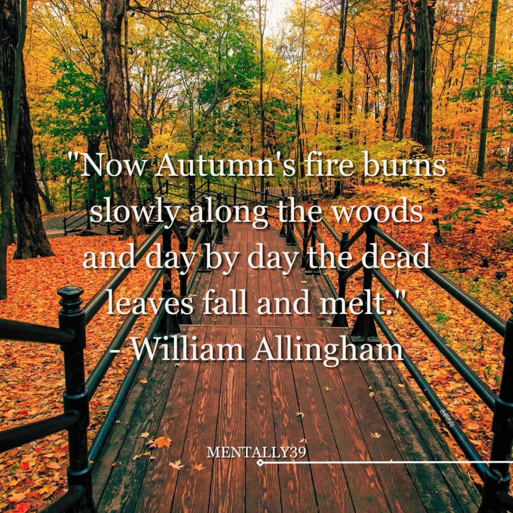 Quotes about Autumn (41)